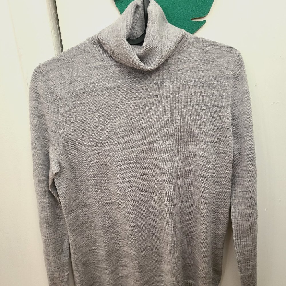 NWOT:Gap Merino Wool Turtleneck